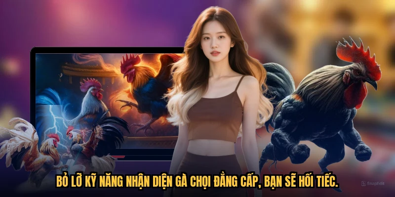 Bỏ lỡ kỹ năng nhận diện gà chọi đẳng cấp, bạn sẽ hối tiếc.