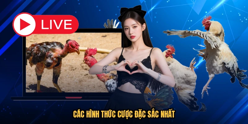 Các hình thức cược đặc sắc nhất