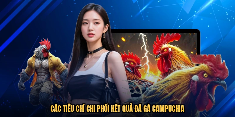 Các tiêu chí chi phối kết quả đá gà Campuchia