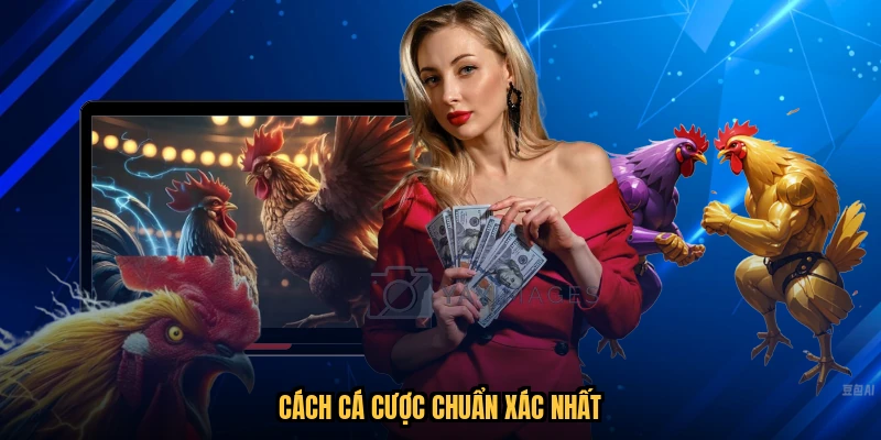 Cách cá cược chuẩn xác nhất