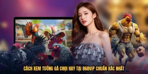 Cách Xem Tướng Gà Chọi Hay Tại 868VIP Chuẩn Xác Nhất