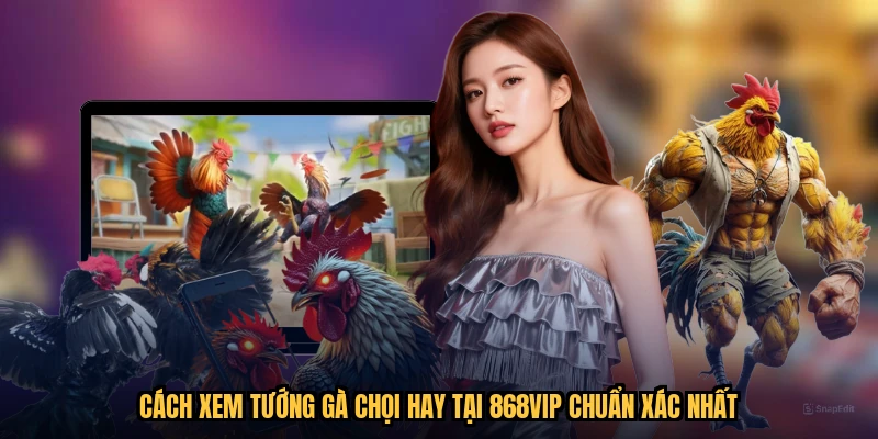 Cách Xem Tướng Gà Chọi Hay Tại 868VIP Chuẩn Xác Nhất