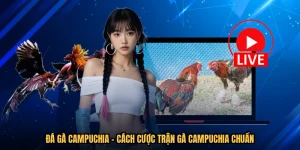 Đá Gà Campuchia - Cách Cược Trận Gà Campuchia Chuẩn