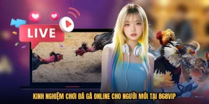 Kinh nghiệm chơi đá gà online cho người mới tại 868VIP