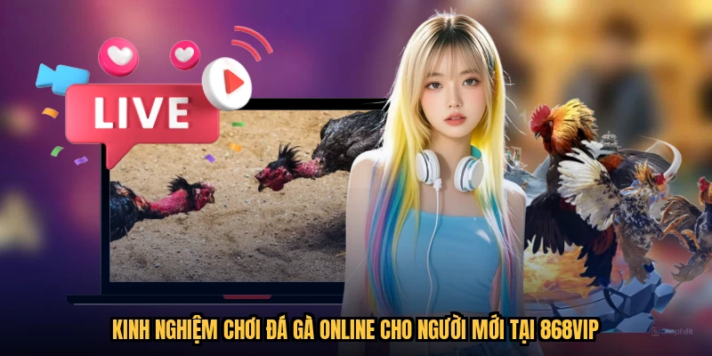 Kinh nghiệm chơi đá gà online cho người mới tại 868VIP