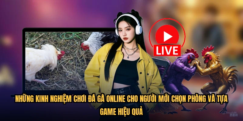 Những kinh nghiệm chơi đá gà online cho người mới chọn phòng và tựa game hiệu quả