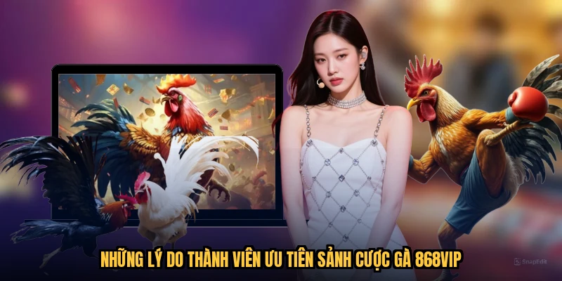 Những lý do thành viên ưu tiên sảnh cược gà 868VIP