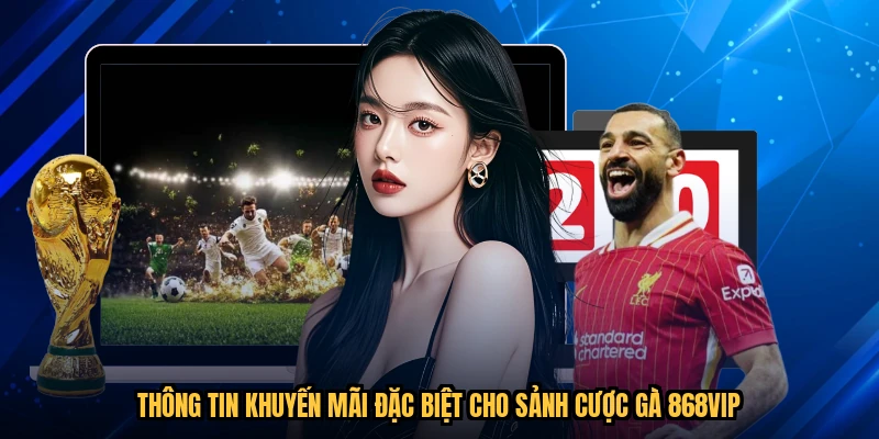 Thông tin khuyến mãi đặc biệt cho sảnh cược gà 868VIP